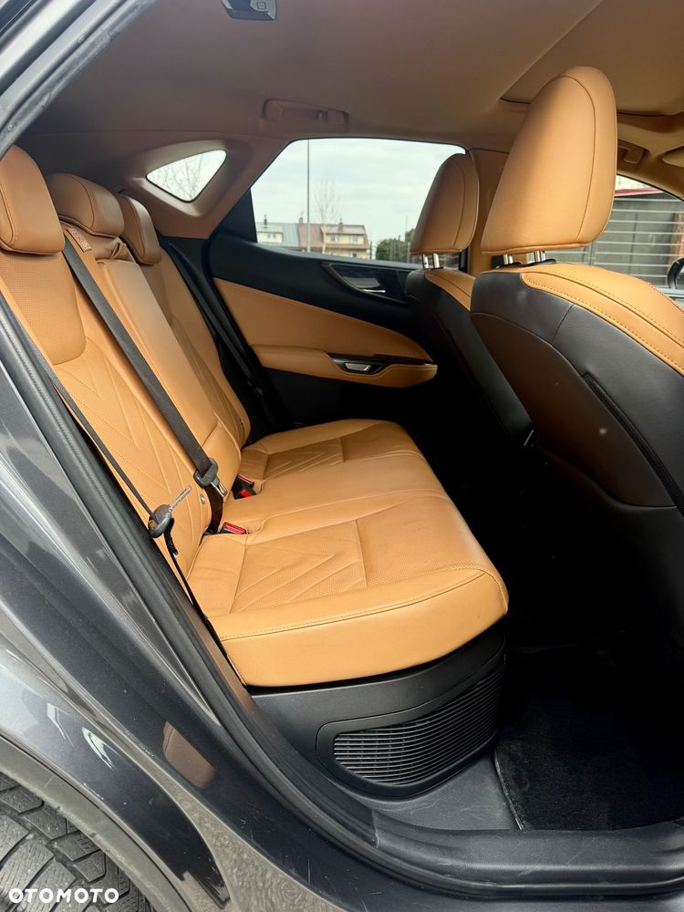 Lexus NX 350h Prestige AWD - 20