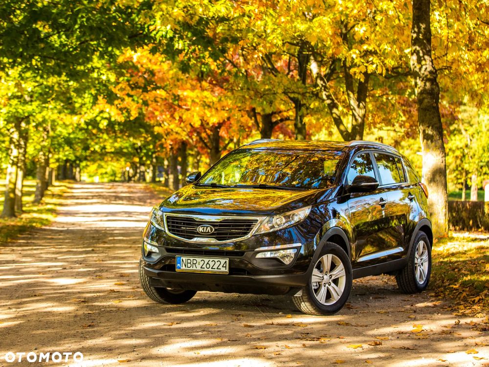 Kia Sportage 1.6 GDI XL 2WD - 12