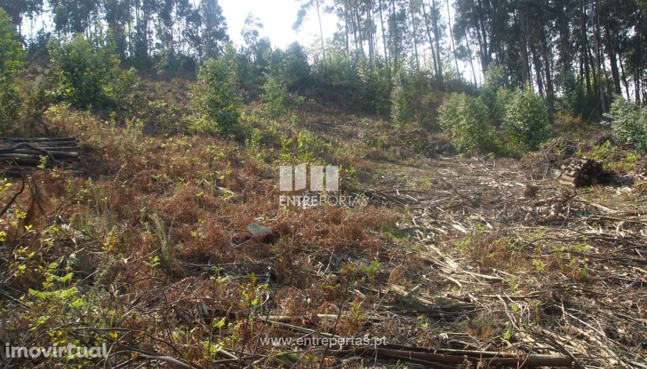 Terreno para venda, Reboreda, Vila Nova de Cerveira - Grande imagem: 3/7