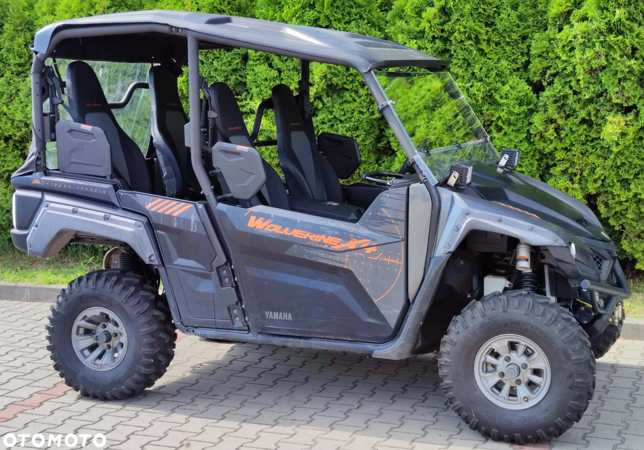 Yamaha Wolverine - 5