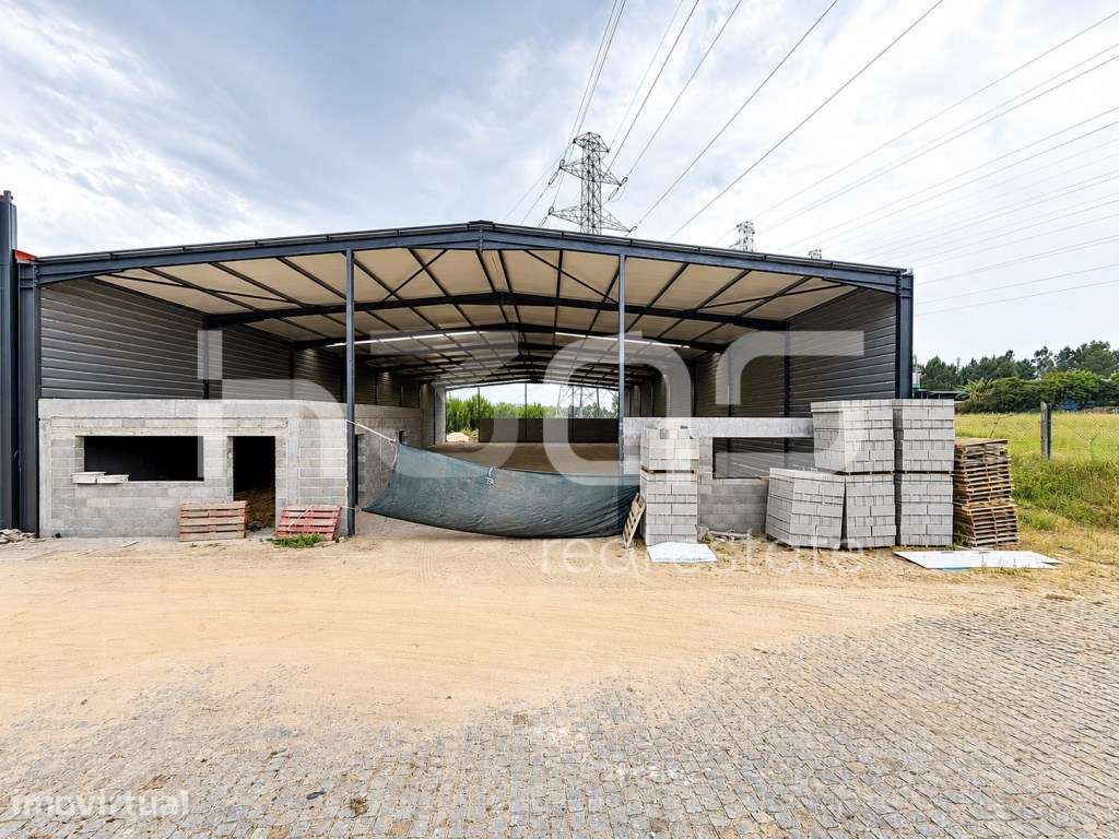 Pavilhão Industrial Novo numa Localização Estratégica - Grande imagem: 4/15