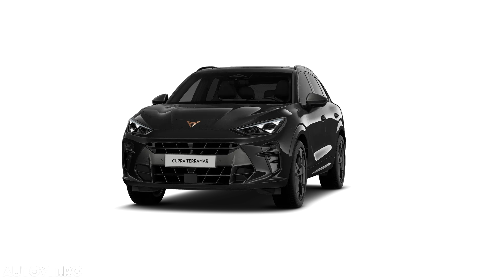 Cupra Terramar - 5