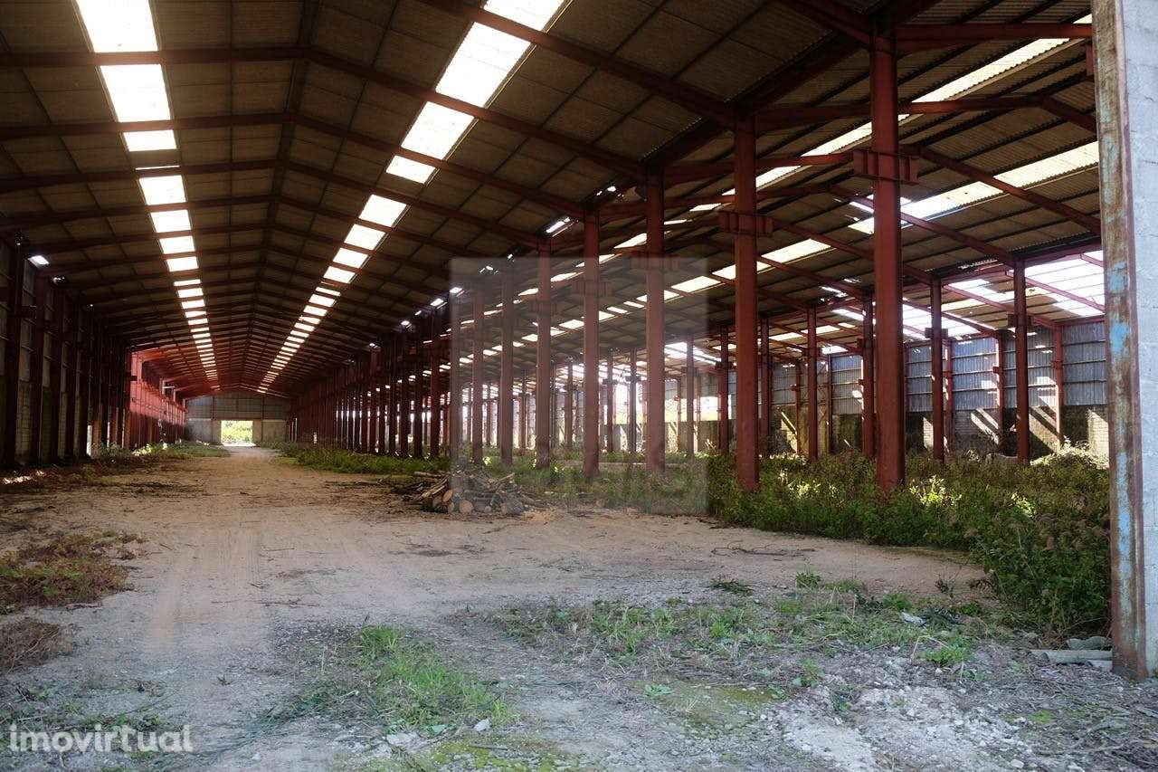 Terreno - Land, Viana do Castelo - Grande imagem: 4/4