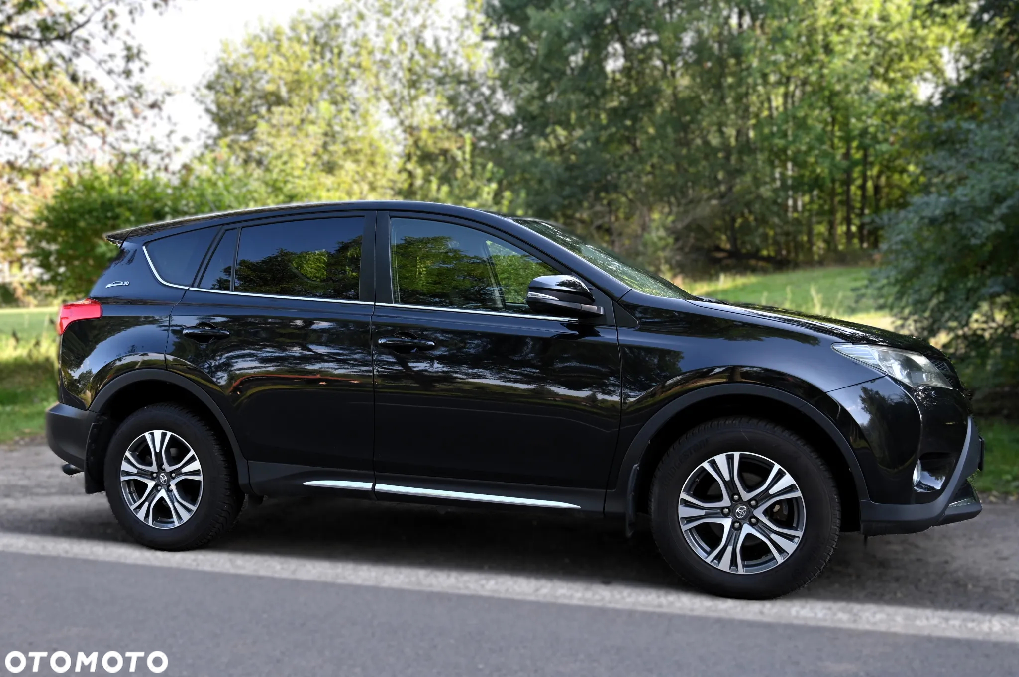 Toyota RAV4 - 10