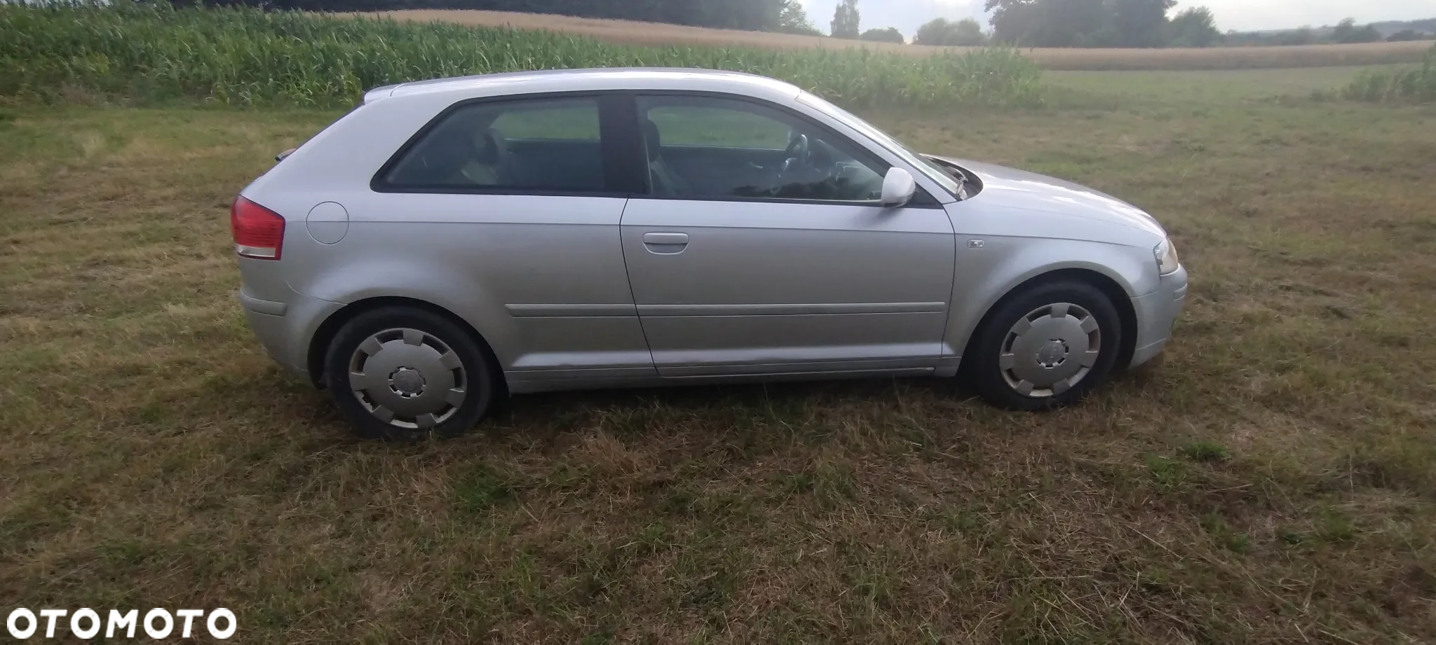 Audi A3 1.6 Ambiente - 6