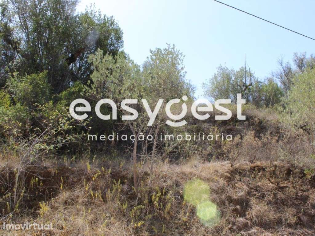 Terreno Rustico com 640m2, localizado a 10min da cidade de Tomar - Grande imagem: 4/14