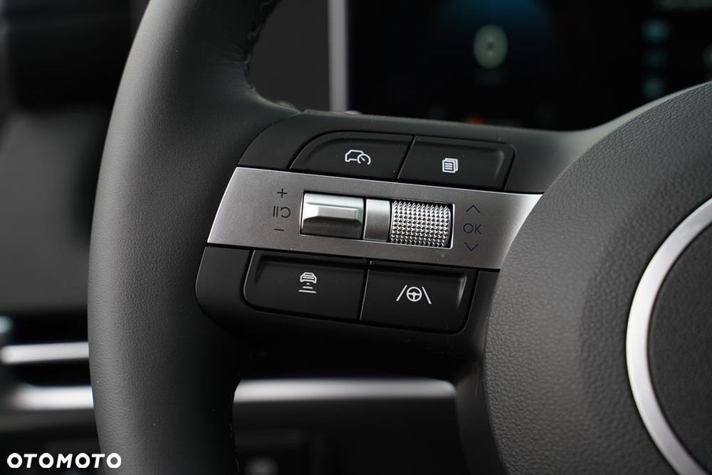 Hyundai Tucson 1.6 T-GDi 48V Executive 2WD DCT - 16