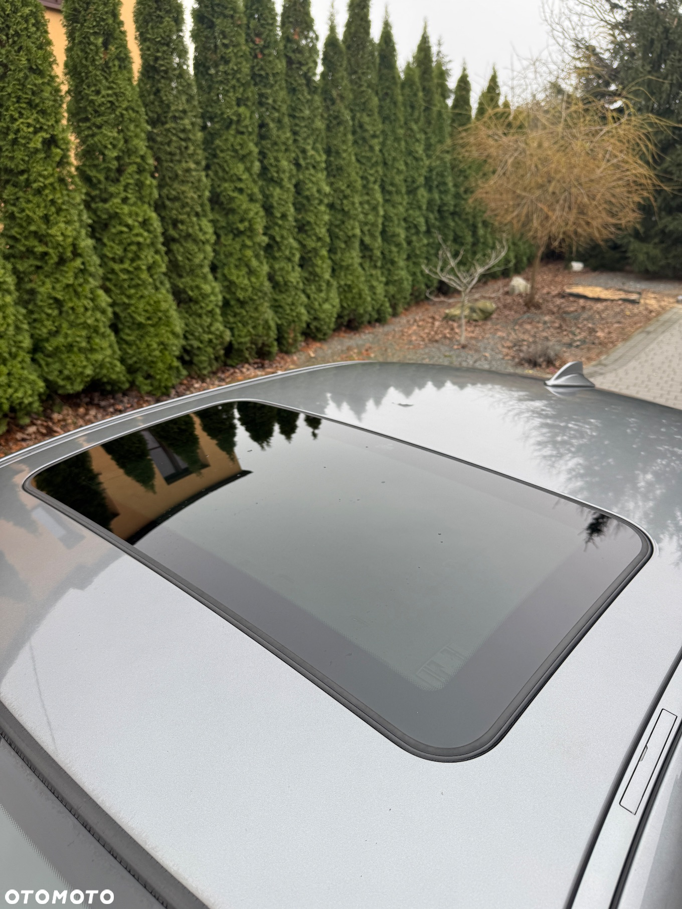 BMW Seria 3 - 29
