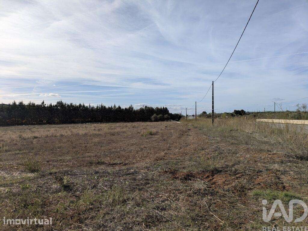 Terreno Agrícola em Estremoz - Grande imagem: 2/15