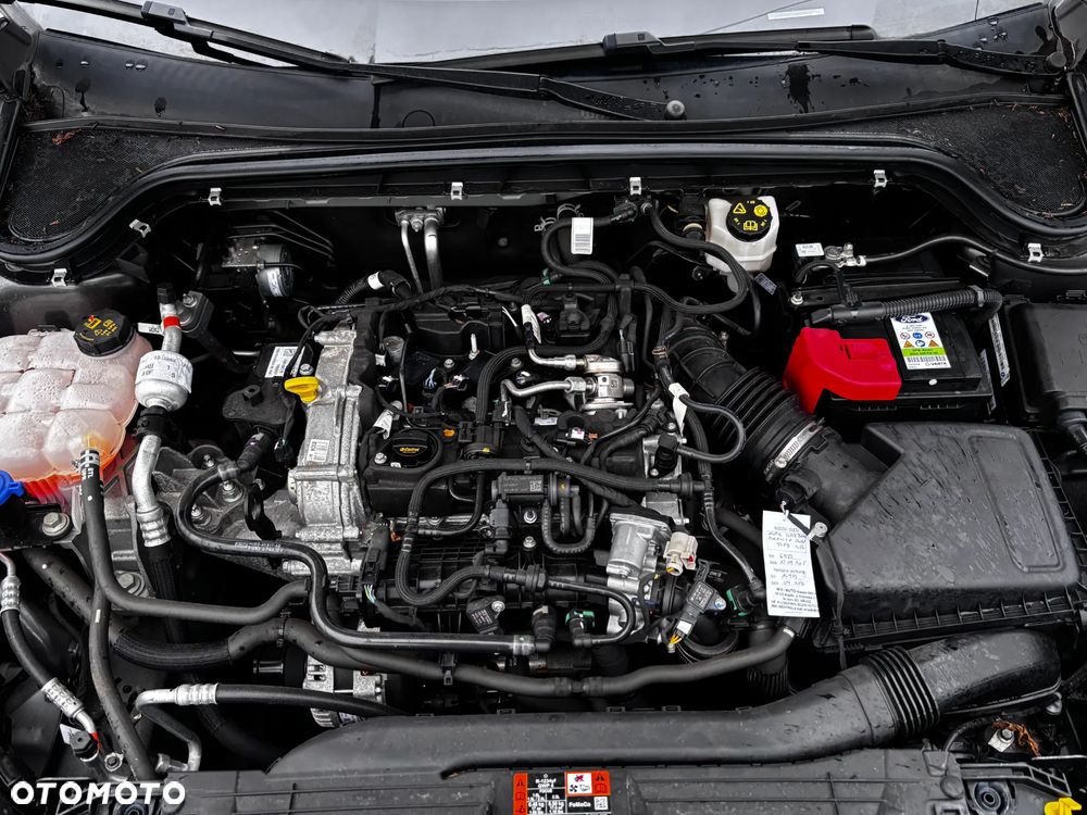 Ford Focus 1.0 EcoBoost Trend Edition - 8