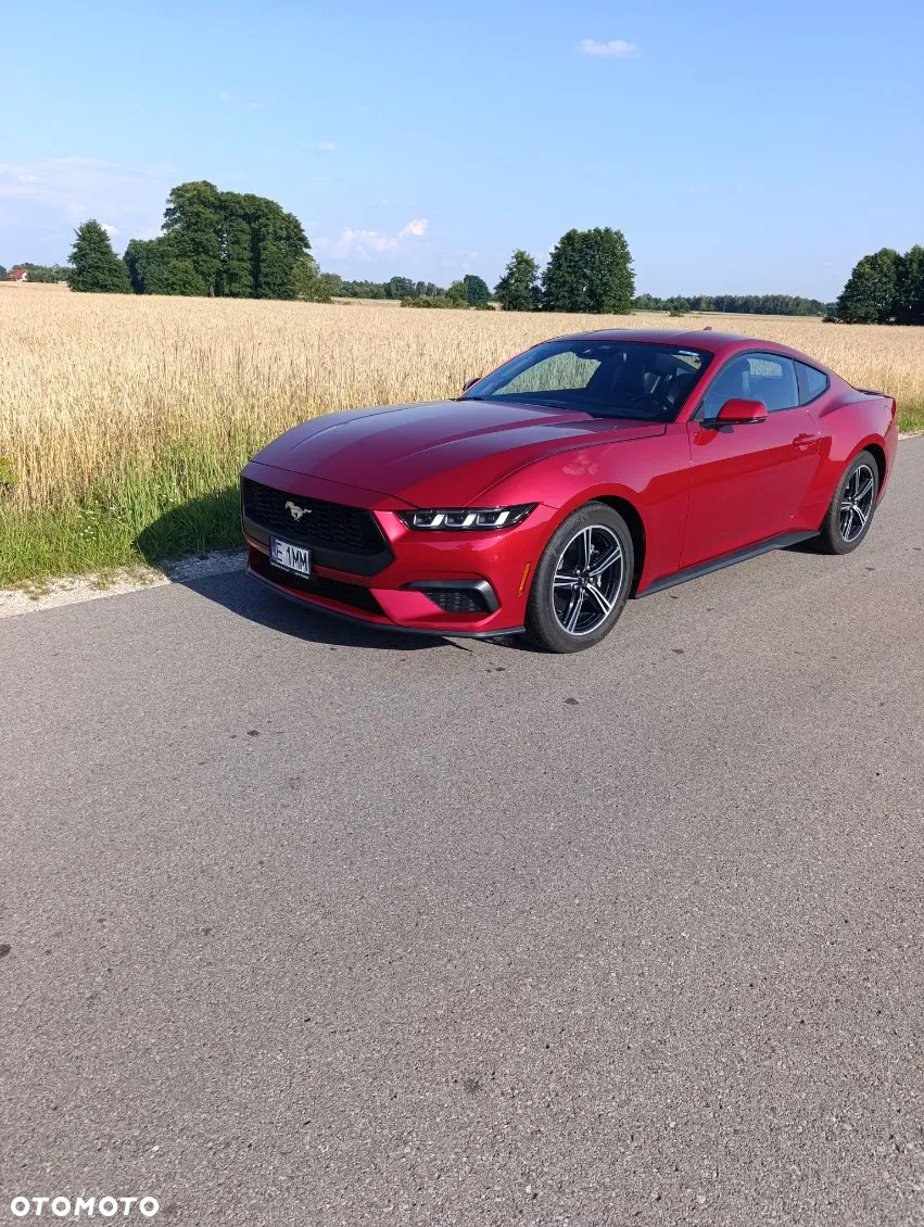 Ford Mustang 2.3 EcoBoost - 3