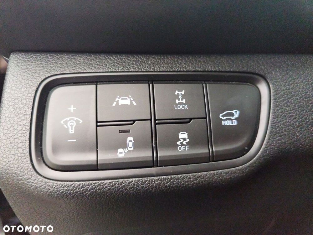 Hyundai Santa Fe - 26