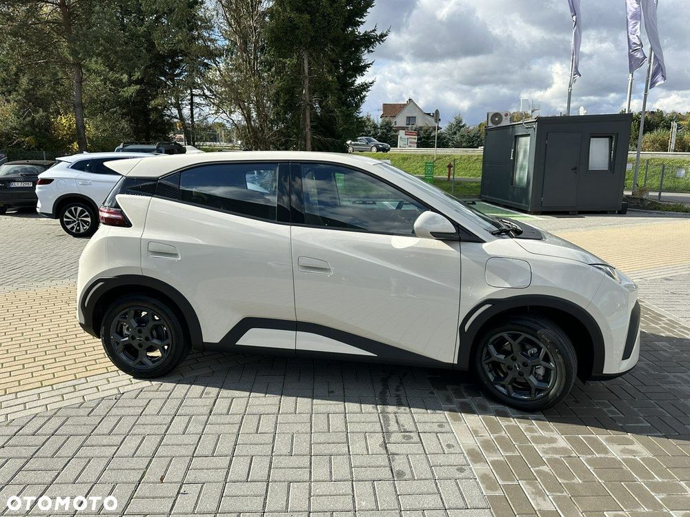 BYD Dolphin Surf - 8