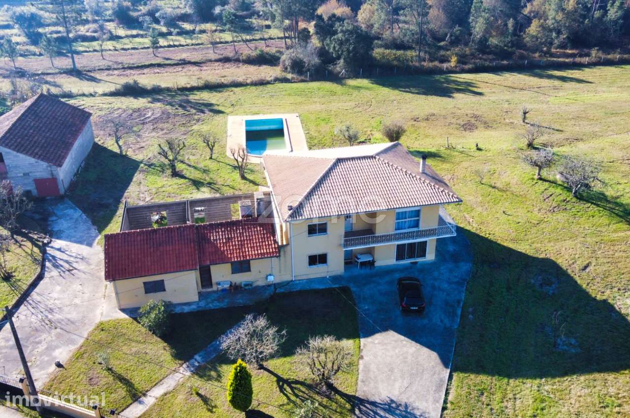 Quinta com 27000 m2 próxima de Pombal e Soure - Grande imagem: 2/21