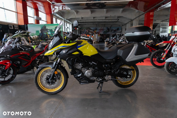Suzuki DL