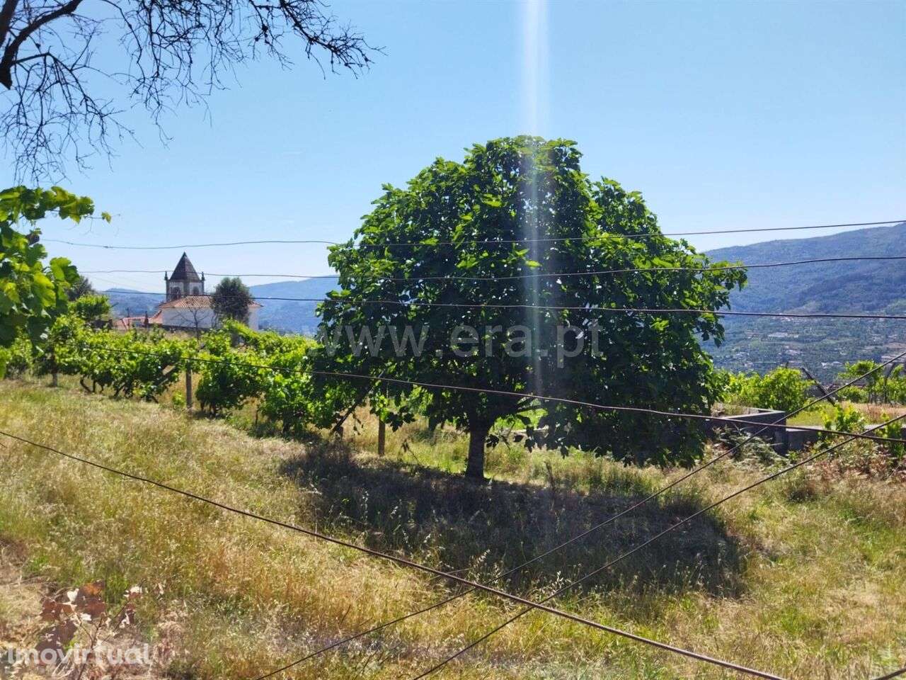 Terreno / Baião, Ancede e Ribadouro - Grande imagem: 4/13
