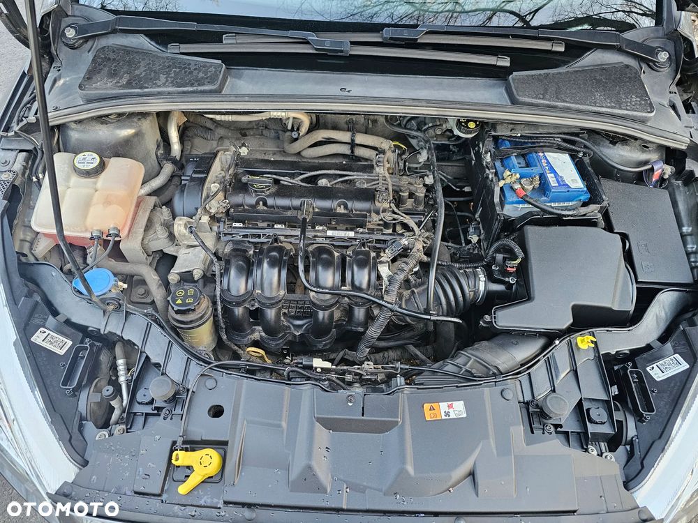 Ford Focus - 16