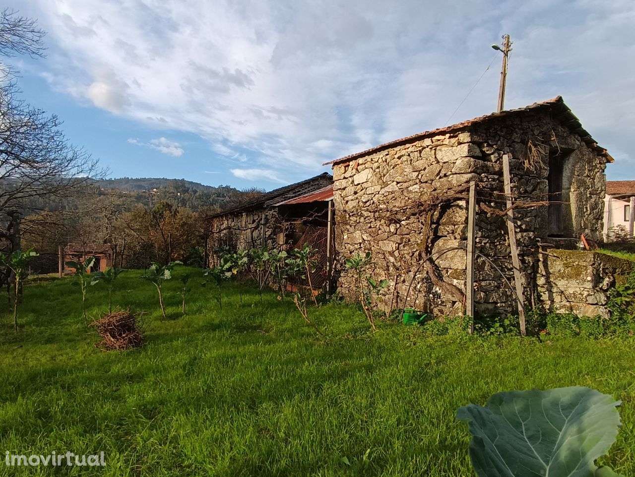 Moradia em granito – Oliveira de Frades - Grande imagem: 3/13