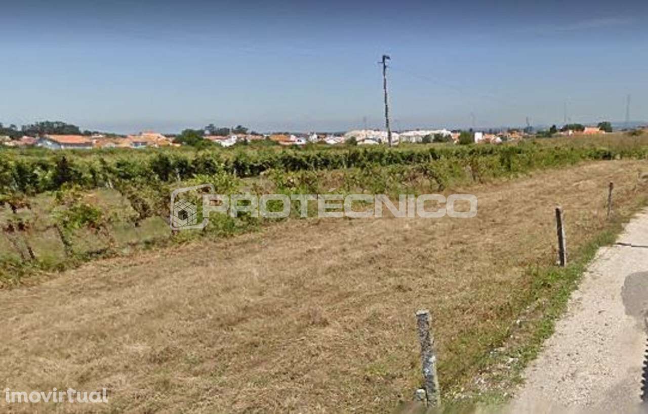 Terreno c/ 3.000m2 - Cacia - Grande imagem: 3/4