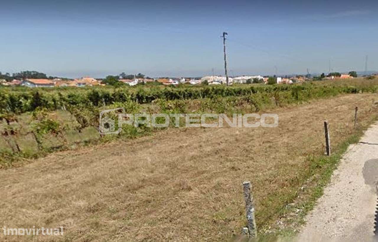 Terreno c/ 3.000m2 - Cacia - Grande imagem: 3/4