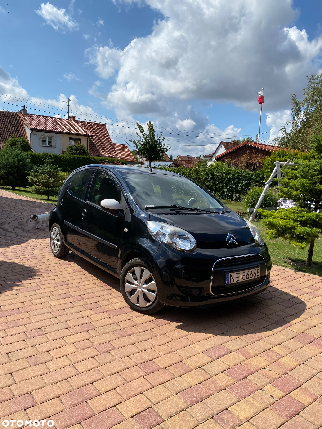 Citroën C1 1.0i White - 13