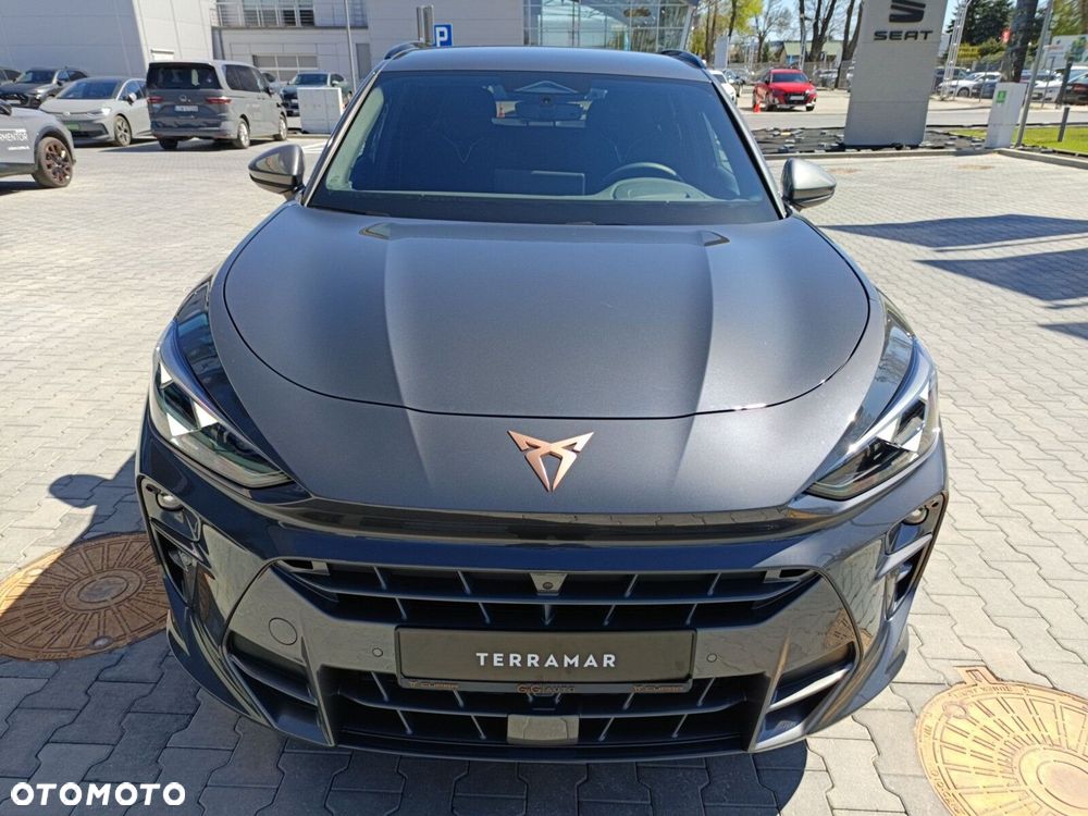 Cupra Terramar - 11