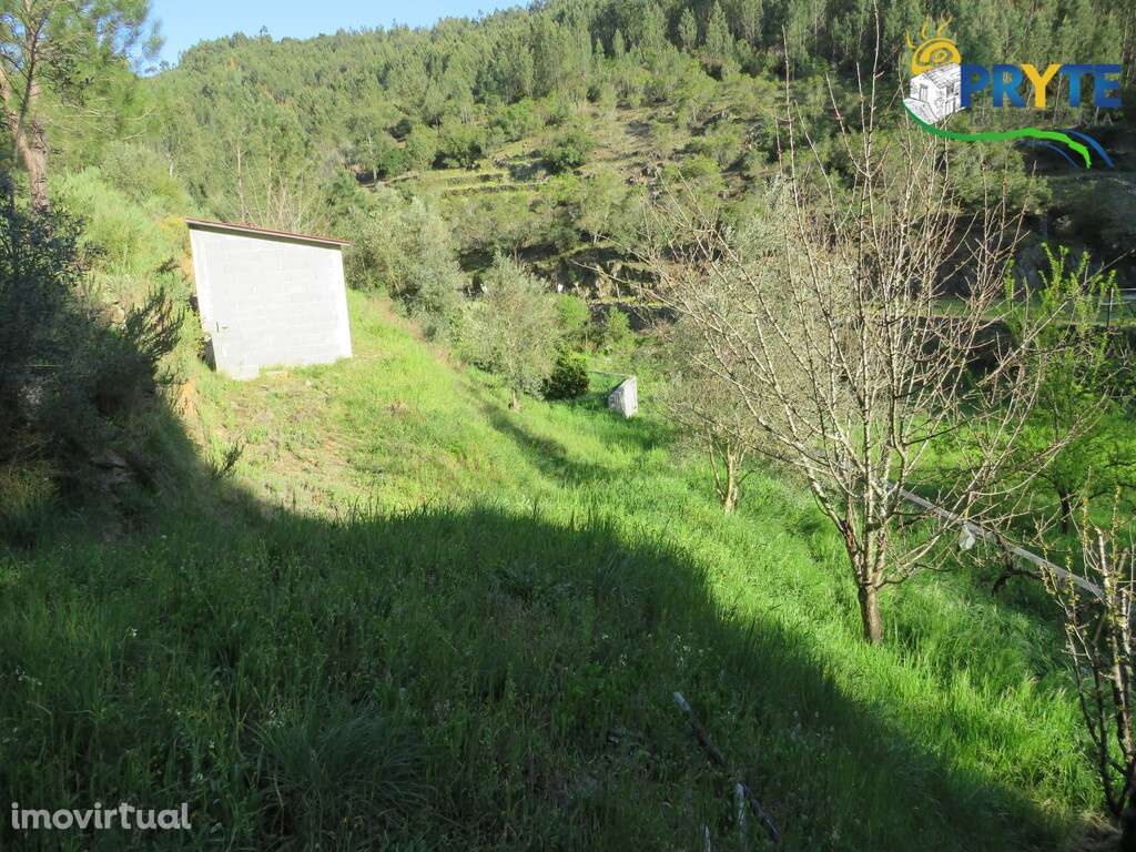 Terreno de cultivo a confinar com a Ribeira da Tamolha - Grande imagem: 4/14