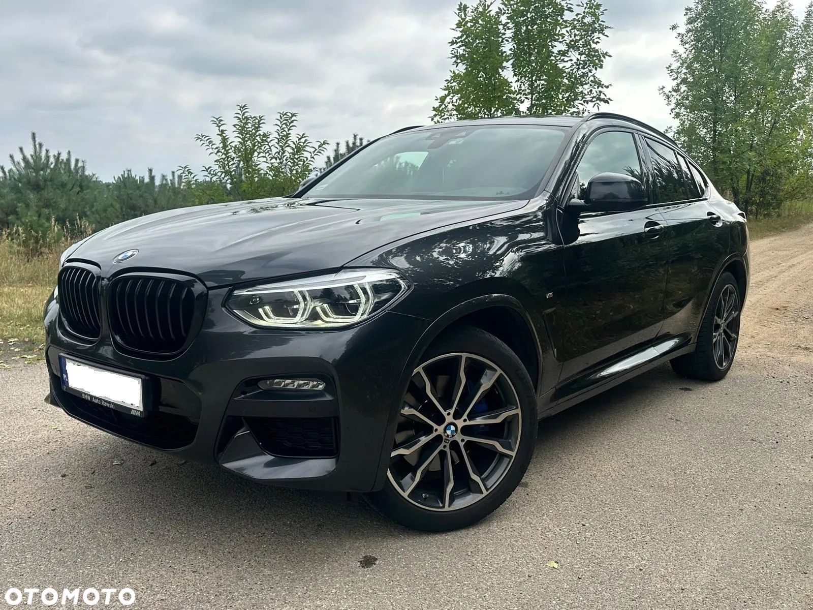 BMW X4 xDrive30d Advantage sport - 1