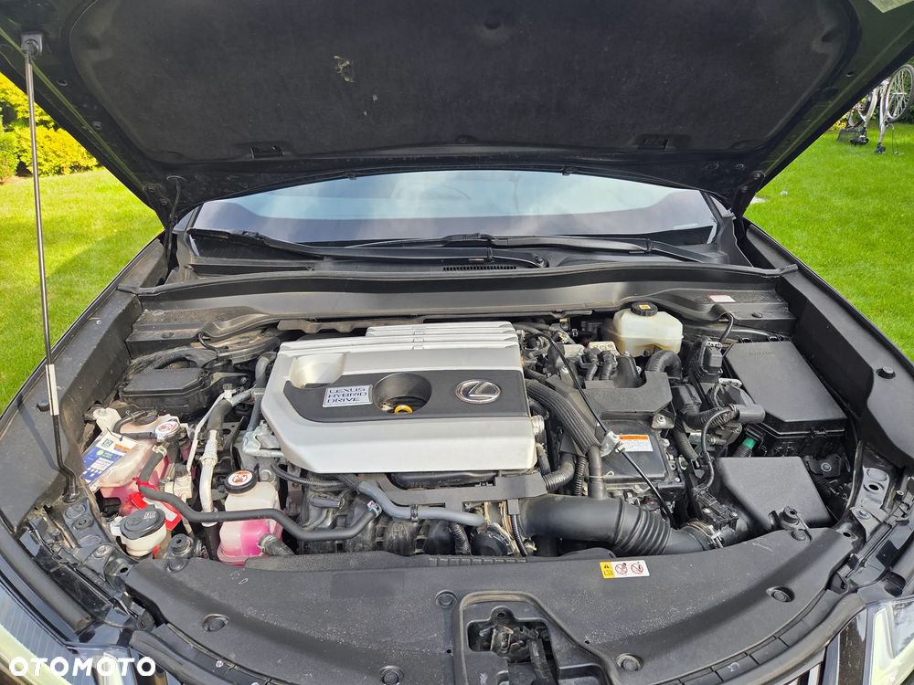 Lexus UX 250h Elegance 2WD - 17