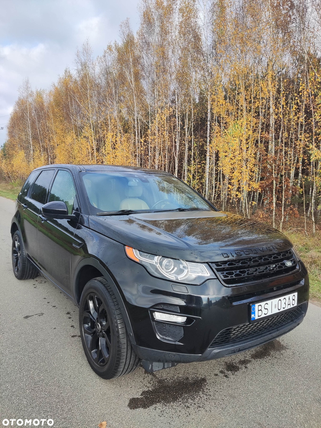 Land Rover Discovery Sport - 28