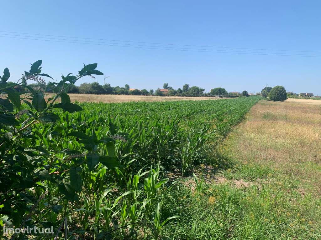 TERRENO C/ 18 METROS DE FRENTE - SANTA JOANA - Grande imagem: 3/6