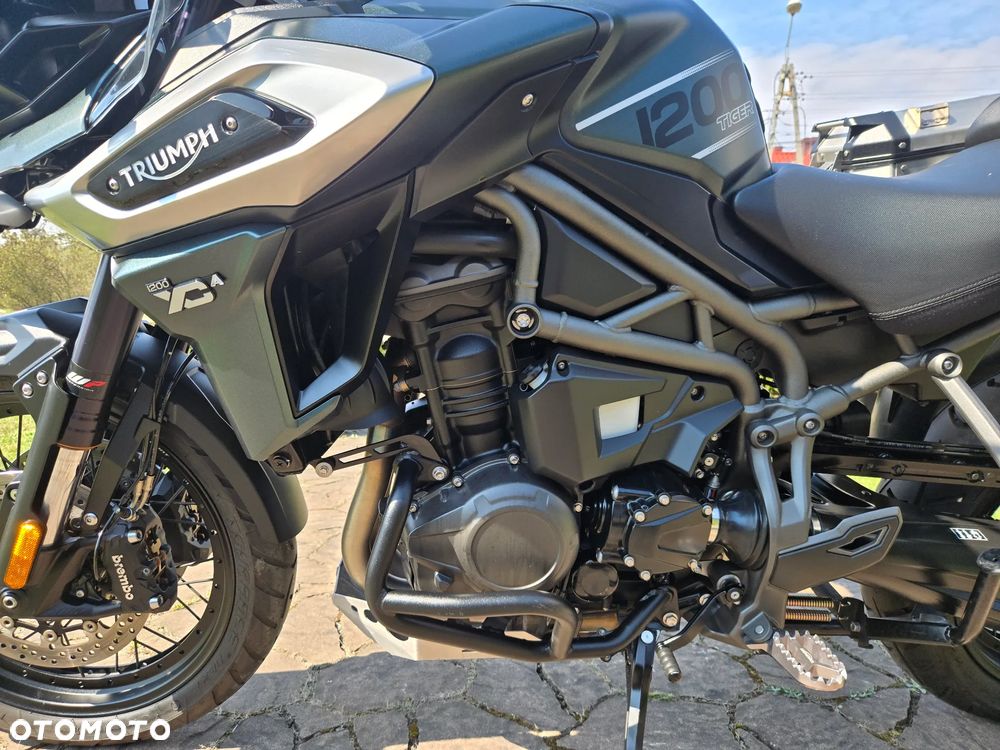 Triumph Tiger - 20