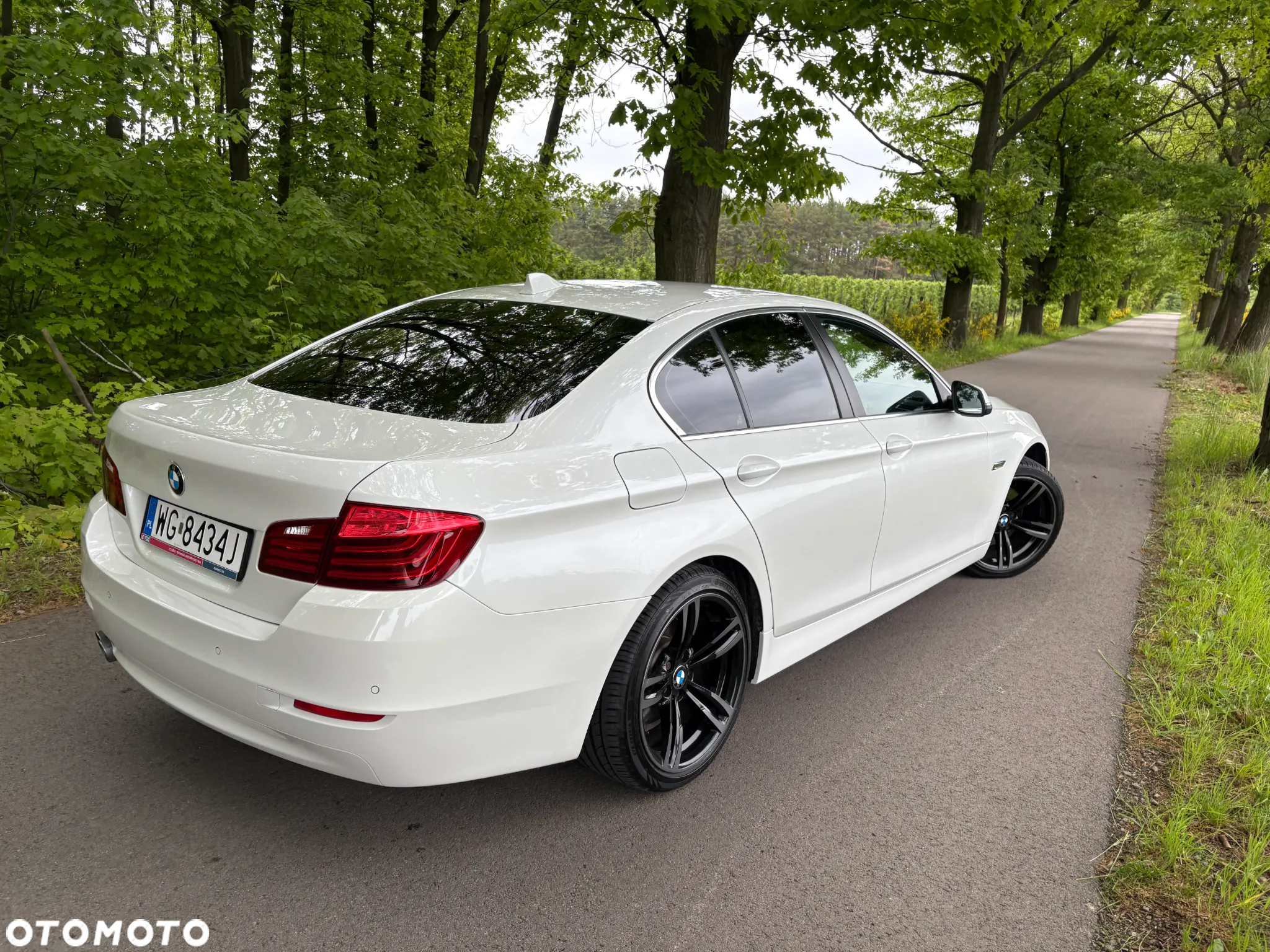 BMW Seria 5 520d - 40