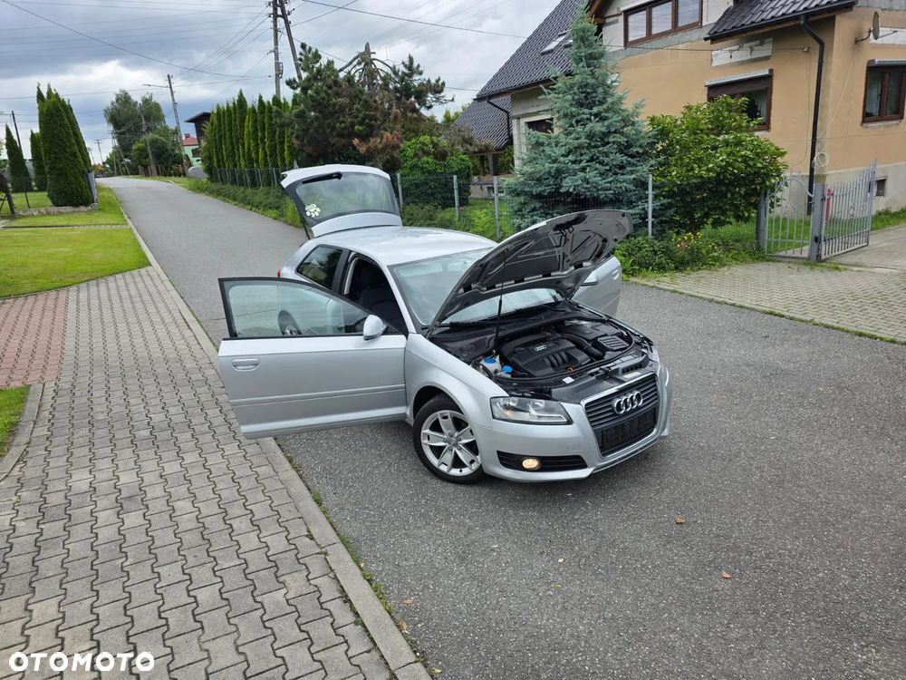 Audi A3 3-drzwiowe 1.6 S line Sportpaket (plus) - 1