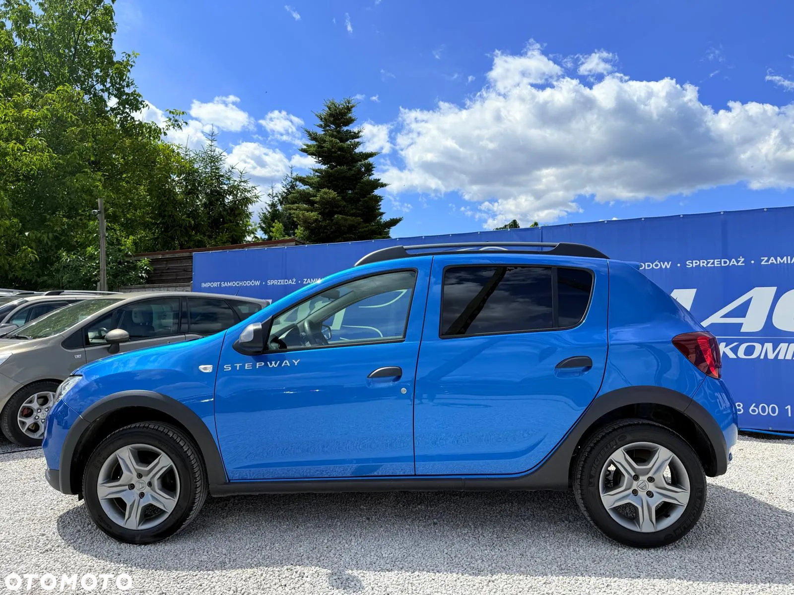 Dacia Sandero Stepway 0.9 TCe Outdoor S&S - 9