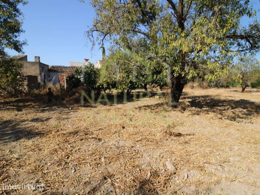 Casa Antiga e Terreno em Guilhim, Estoi - Grande imagem: 4/8