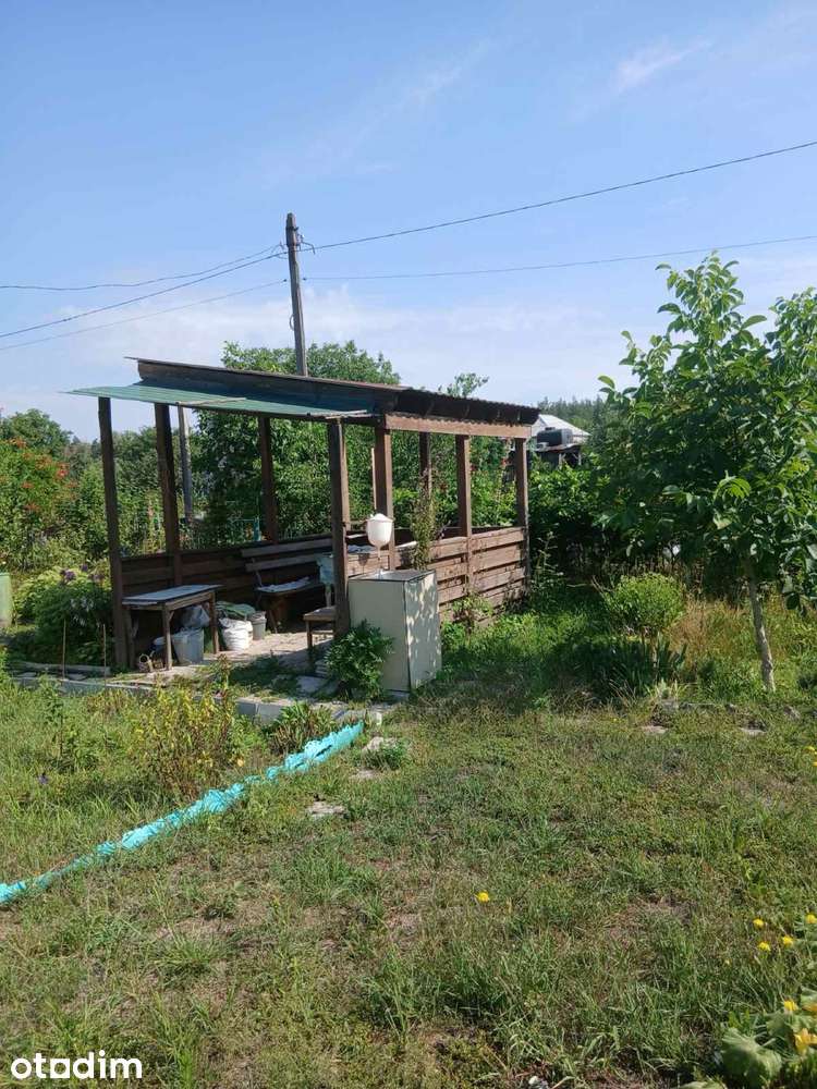 Дача с участком и садом в Васищево, рядом с лесом - Повне зображення: 5/8