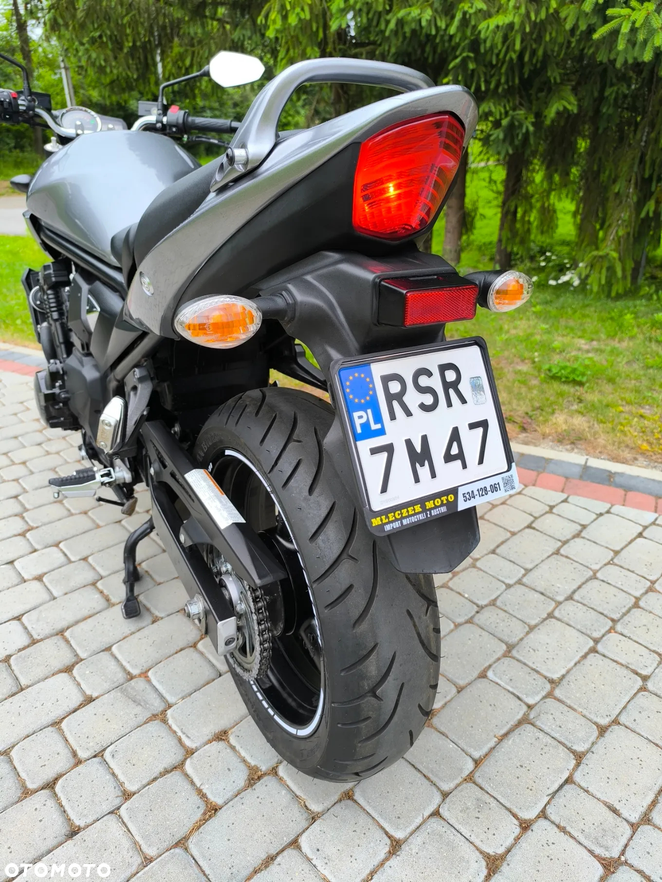 Suzuki Bandit - 5