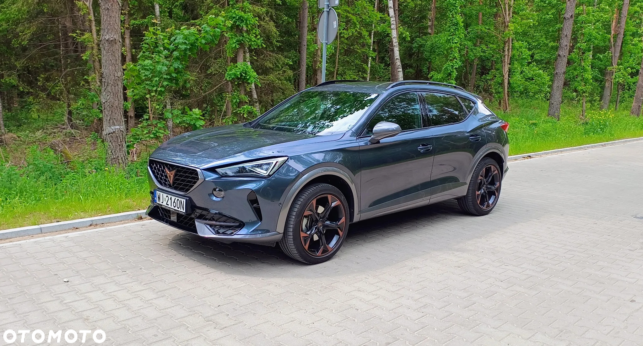Cupra Formentor 2.0 TDI 4Drive DSG - 26