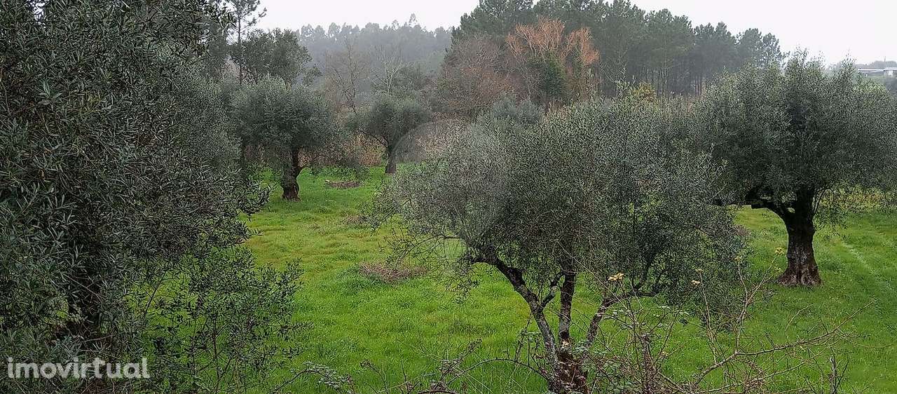 Terreno  para venda - Grande imagem: 2/4