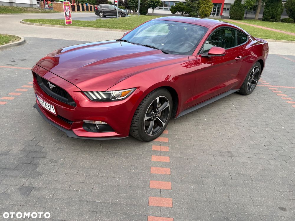 Ford Mustang - 8