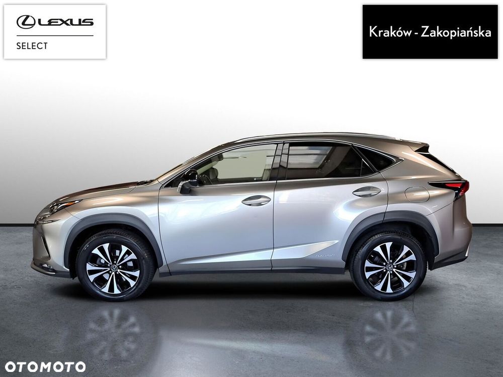 Lexus NX 300h F Impression AWD - 5