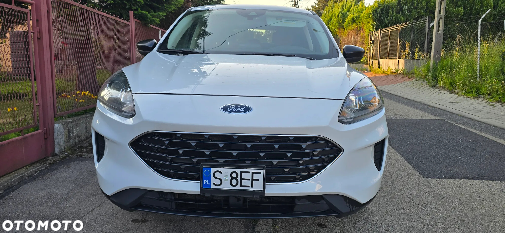 Ford Kuga 2.5 FHEV AWD Titanium - 3