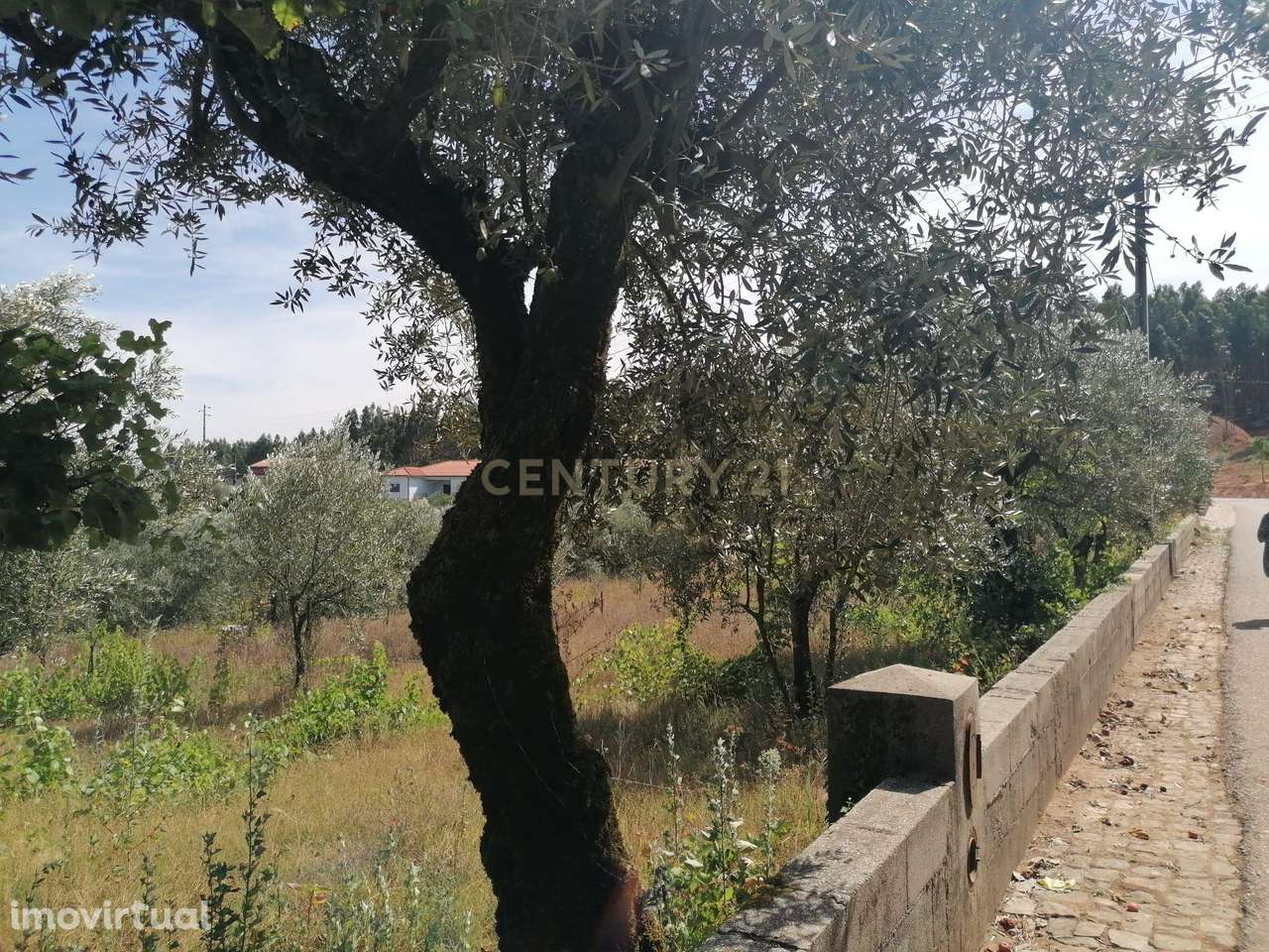 TERRENO COM 920 M2 - Grande imagem: 3/9