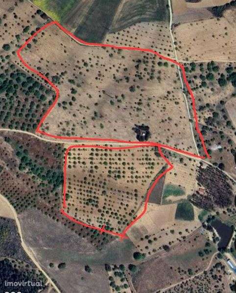 Vende-se Terreno com castanheiros (7 hectares) - Bragança - Grande imagem: 3/3