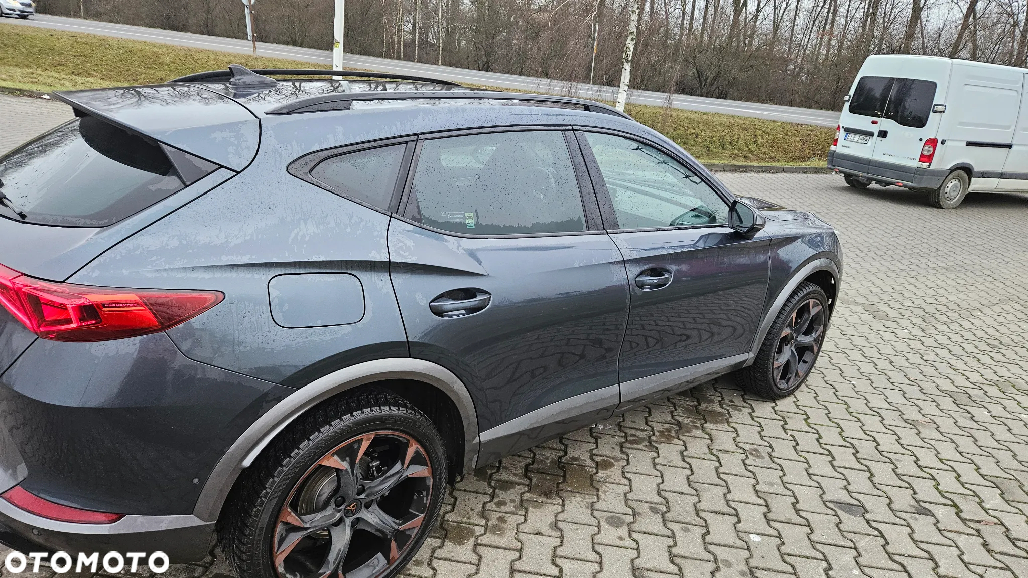 Cupra Formentor 2.0 TSI 4Drive DSG - 4