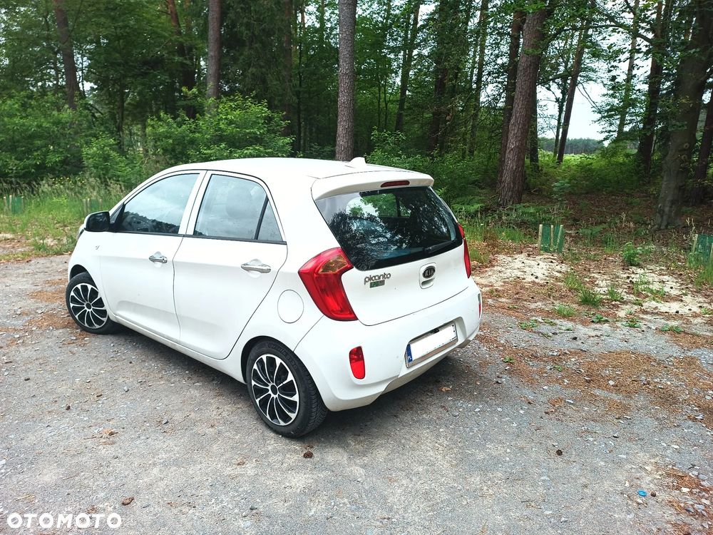Kia Picanto 1.0 L - 5