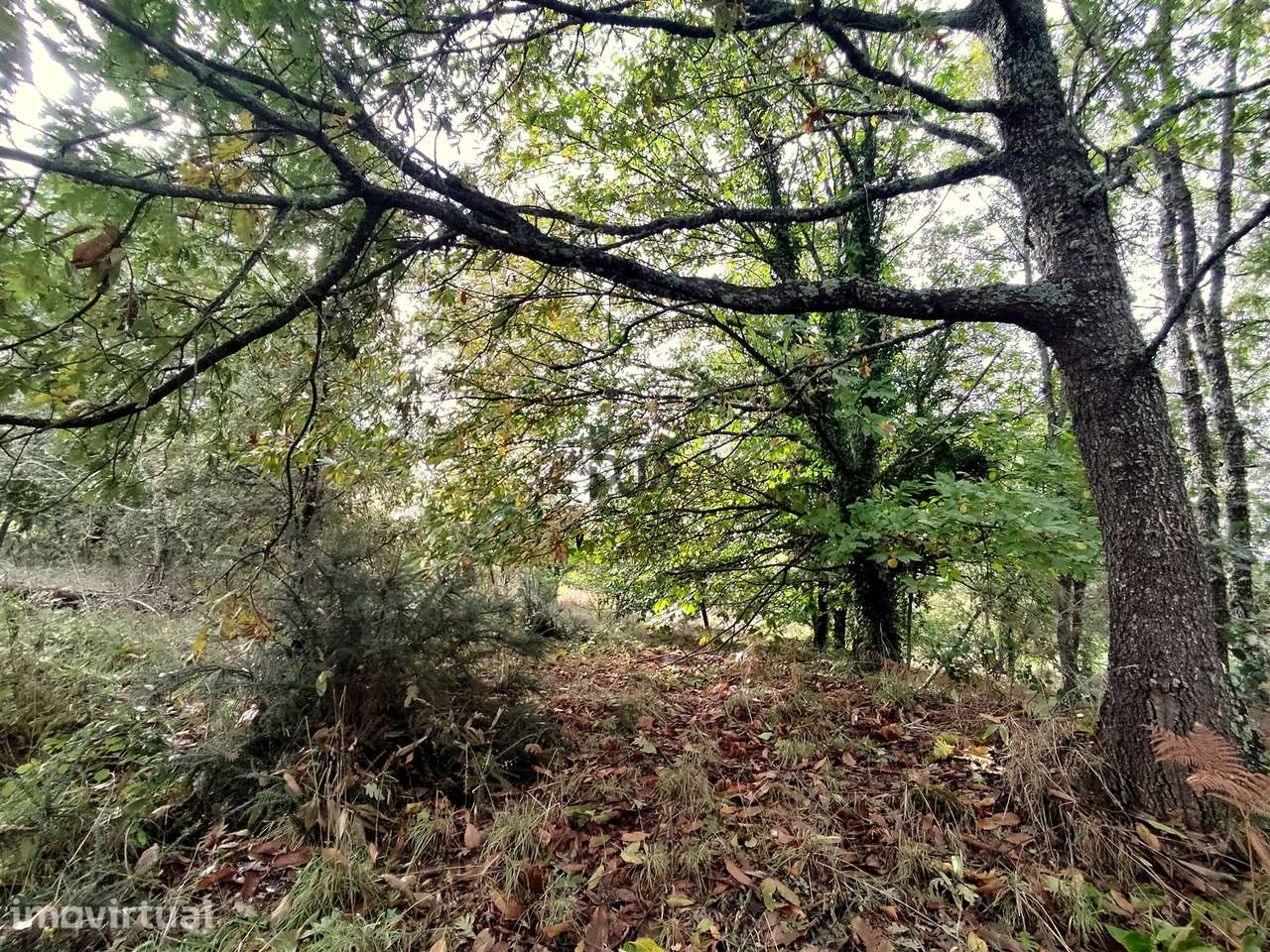 Moradia T0 à venda em Castelo de Penalva, Penalva do Castelo — foto 12