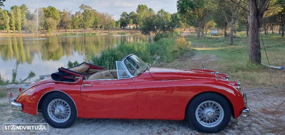 Jaguar XK - 14