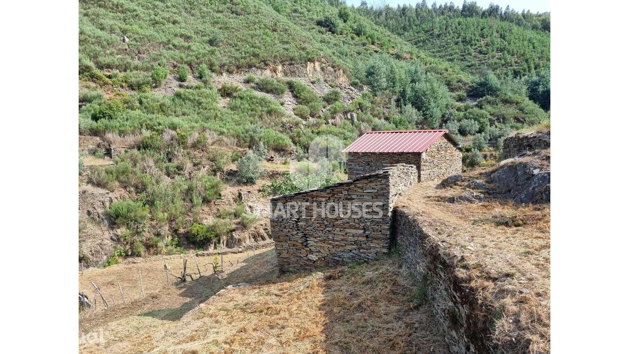 Quinta em Benfeita - Grande imagem: 3/11